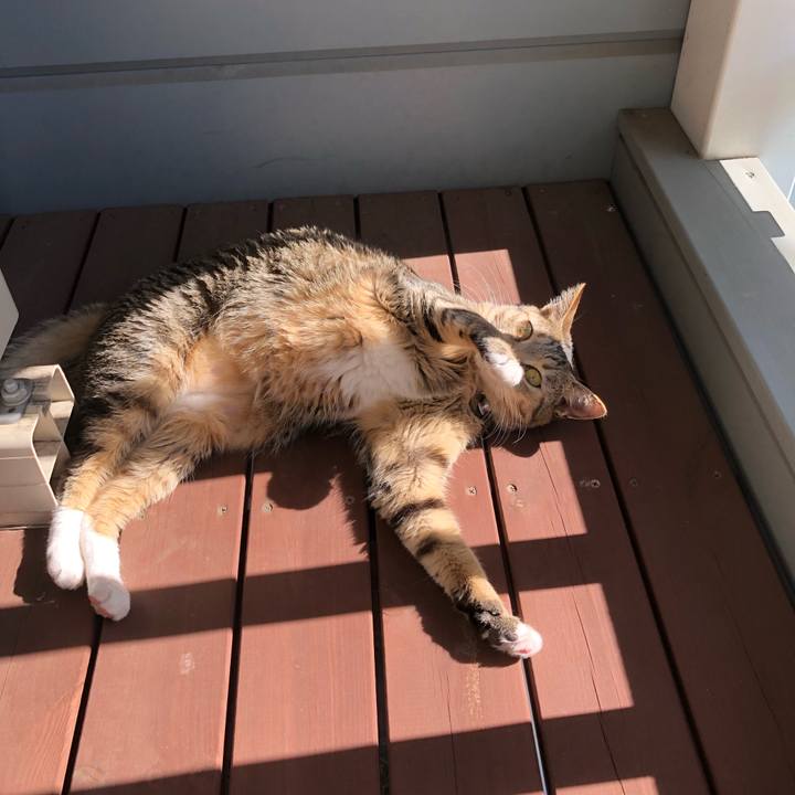 Cd4b36b2 275f 4e37 acf5 7fc0546068ea 1605320807477