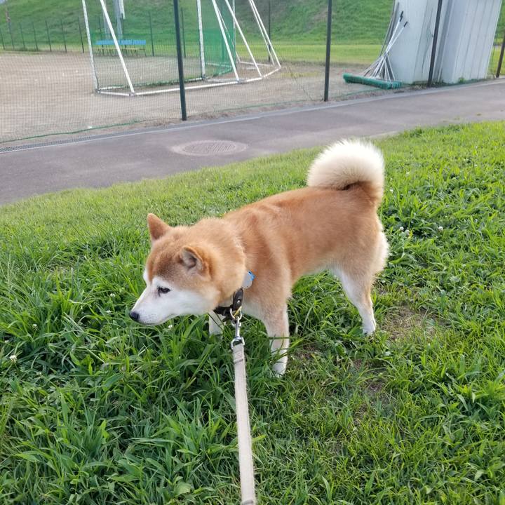 Cd4b6b89 b604 4064 a375 05c290670eae 1627807716656