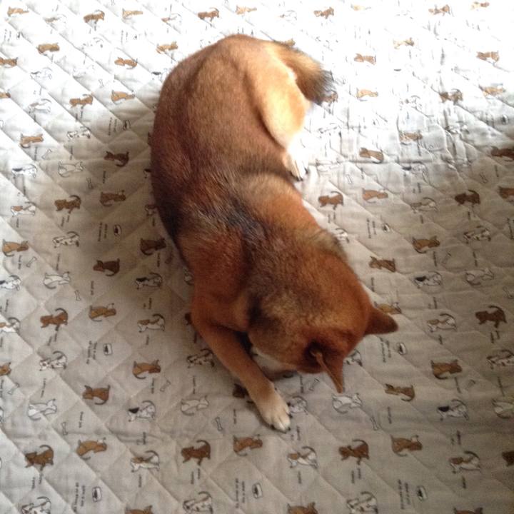 Cd4b6efe 6f4f 404b b01f 040af7c6db70 1539759642376