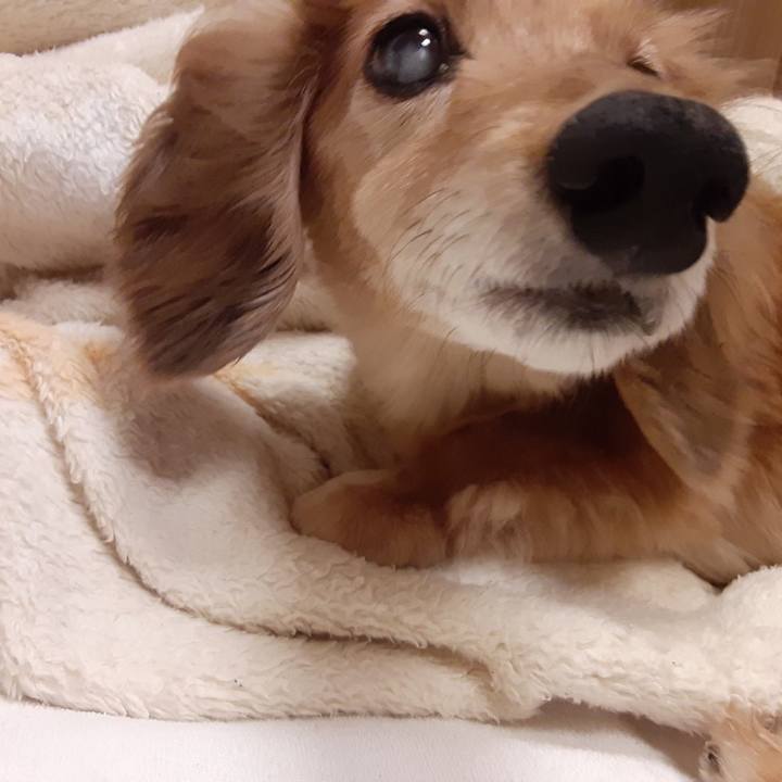 Cd4b872a 7da1 44dc 80d9 2b81f9dde053 1655299280772