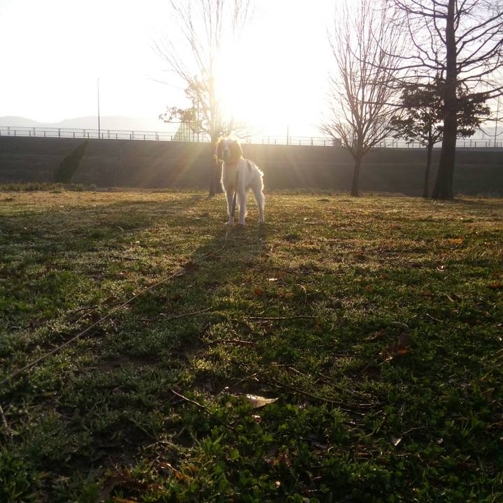 Cd4bf218 a0ce 44d1 9e58 bc9807c59bfb 1520942935178