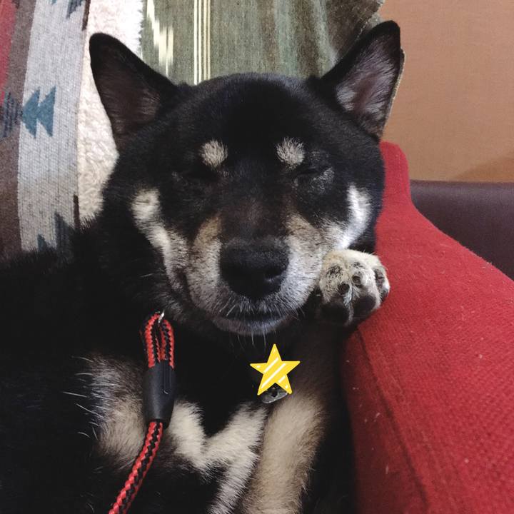 Cd4c25ec 6afd 4e5d 8c1f 13bd64f85e29 1557931512038