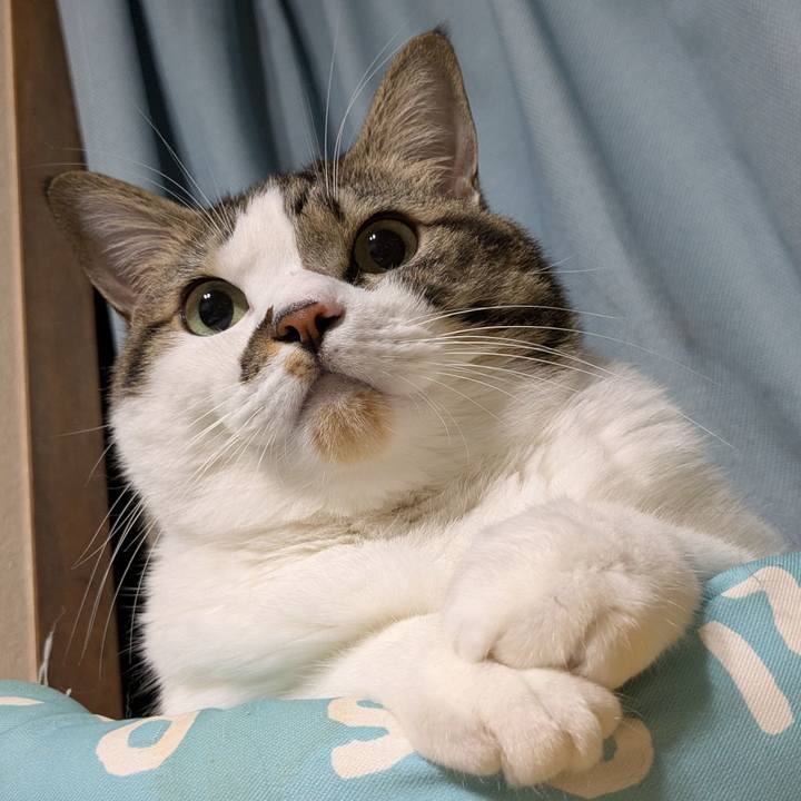 Cd4c4807 ab47 4073 b9cf eb1bb9eb4f8e 1760798713147