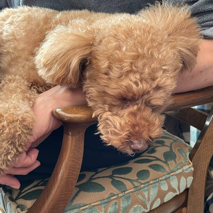 Cd4c9541 8c50 4303 a631 1b99266a6376 1670769315358