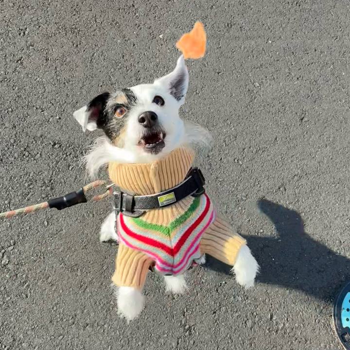 Cd4c995f dc53 4bab 8367 3a1116bc9680 1771719642445