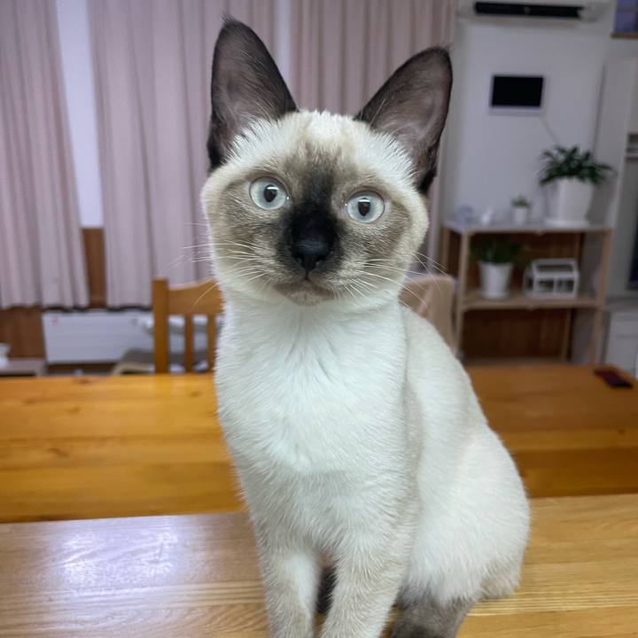 Cd4ceb86 9b58 4112 9f33 3f1e2d48bf76 1692906775427