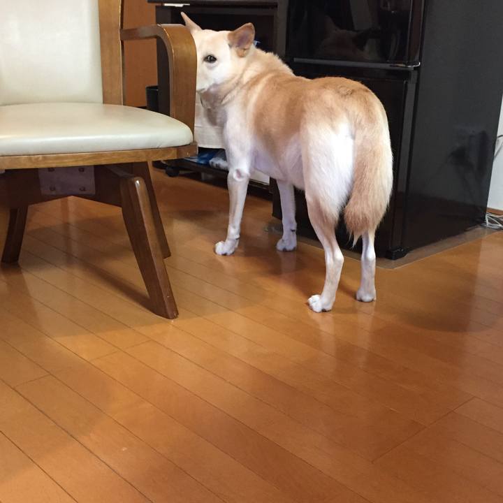 Cd4d0361 d03c 4ab4 b199 f970d9e3c2a9 1516502007163