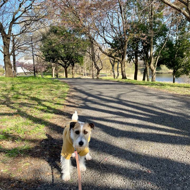 Cd4d4578 c2c6 4fd8 a929 bd4ecd73928a 1679473364441