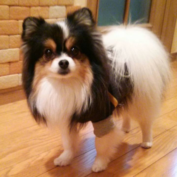 Cd4d56a0 b335 41a7 bae2 86f5dc8a8728 1519122598602