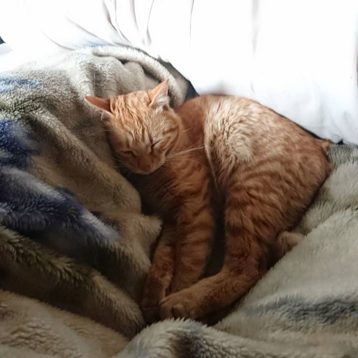 Cd4dac17 54f3 4b9a b66c 7236732916de 1650256061715