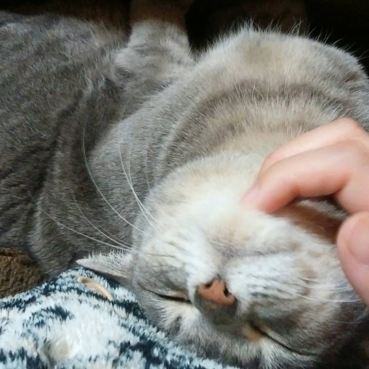 Cd4dc804 8244 477a affa cf702b38384a 1544797405758