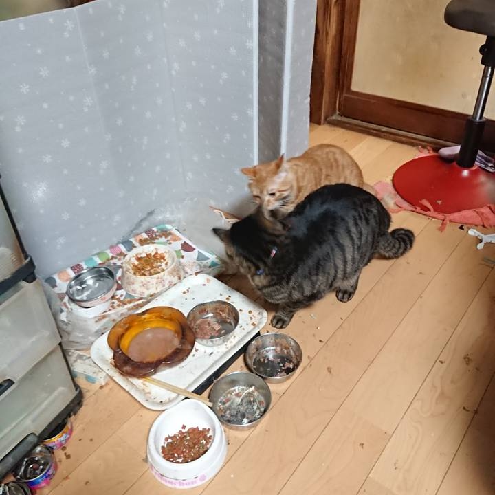 Cd4dde62 9191 4289 a986 cdcdb069caa7 1642420372968