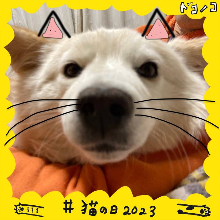 Cd4e2eef 6667 40c7 bdb4 071a6297e02b 1677074446963