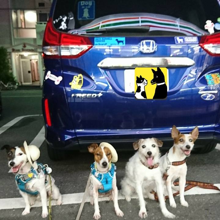 Cd4e3d21 50b4 4a33 a8fb ae4af68db478 1563710049746