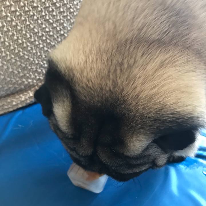 Cd4e9c2f 05ca 4abe bde2 387353849323 1530407116654