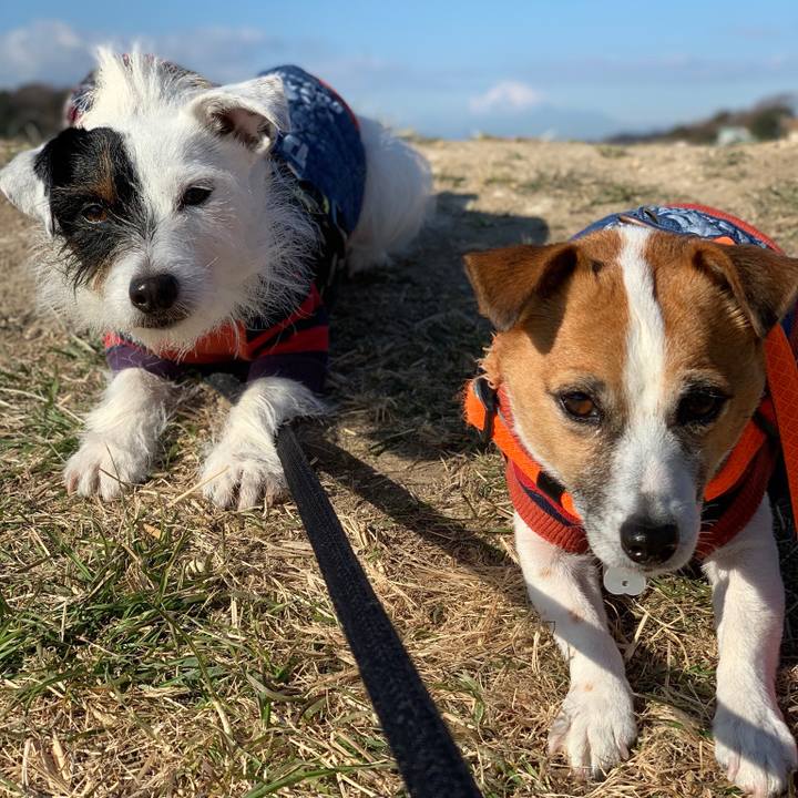 Cd4f0069 241b 461b ade5 52ef0898bf27 1548034118488