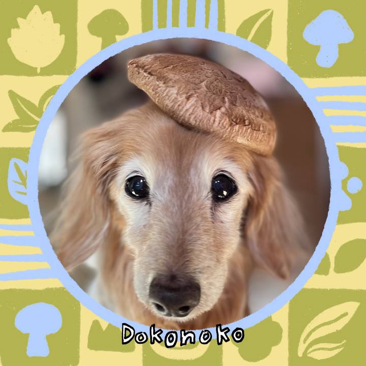 Cd4f3258 3bfb 42ee 96eb 4b61633b56e9 1761714406445