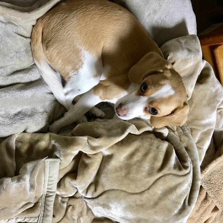 Cd4f33ff 8b8a 4ce1 bcbb bc5c4253bf03 1548423966445