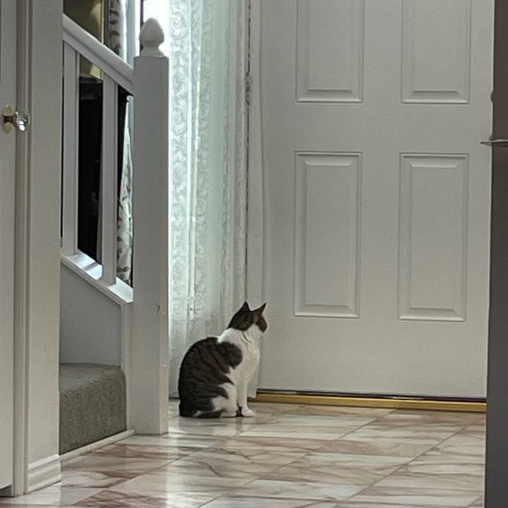 Cd4f58c2 d96c 4977 bc88 80b68d5d21a3 1717033679473