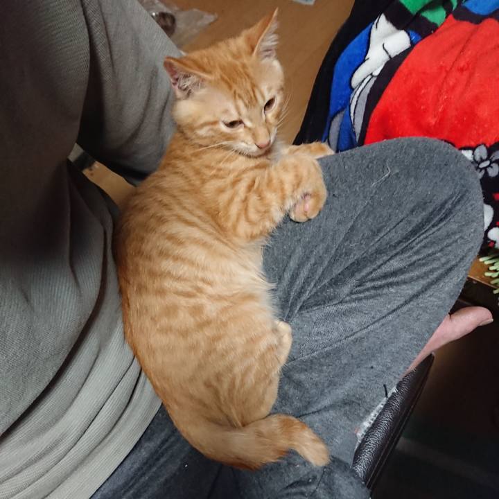 Cd4f7ad0 6658 430e 92a2 cd1729d9a33c 1633081699991