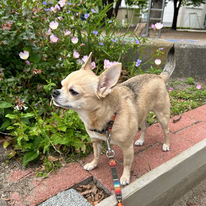 Cd4f8614 6896 492d 8cc4 e0631d81961f 1716504612016