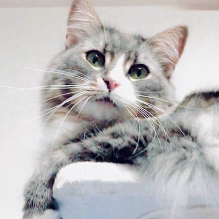 Cd4f9905 e575 4b51 9572 9f5b91e2a8d2 1757258263441