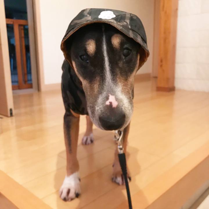 Cd4fa832 a536 455d 8e6d c45ba1e10ecf 1525301766738