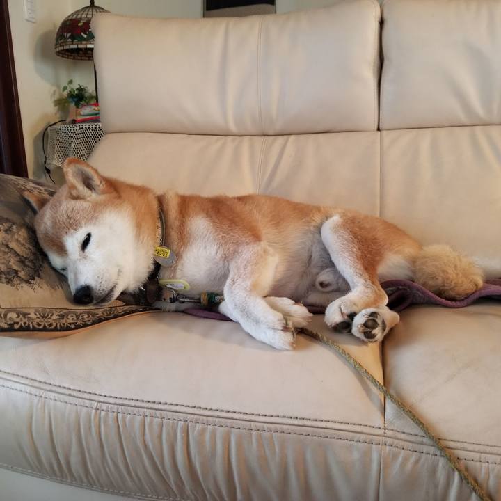 Cd4faa3f 45e7 497b 912f c6cffeb51ec8 1662505807299