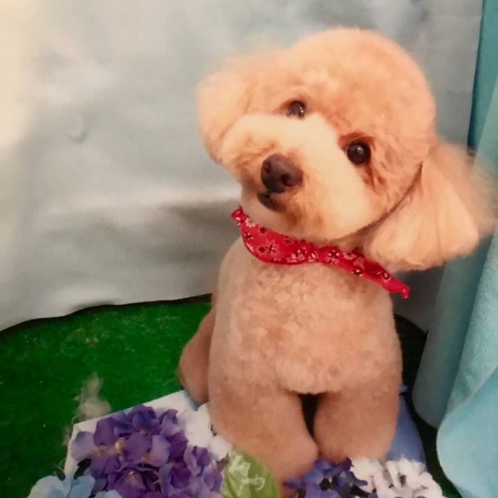 Cd4fb668 3953 42f0 a0a3 54c0be8e364f 1528021464907