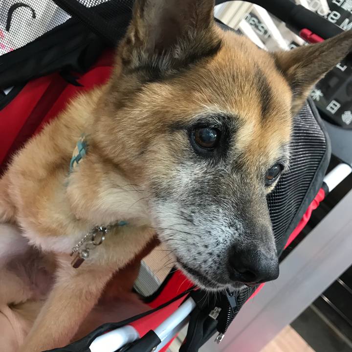 Cd4fbd48 2b57 4288 b782 64f985da0013 1538558976511