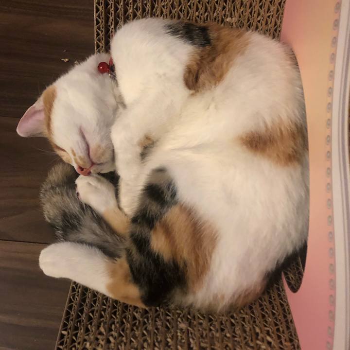 Cd5000f9 19c2 4a83 b4b6 7a0338fcab5c 1570972253064