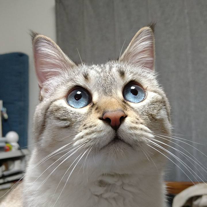 Cd503eeb 9baa 48fb b50b 3006fe76bcd4 1711279256275