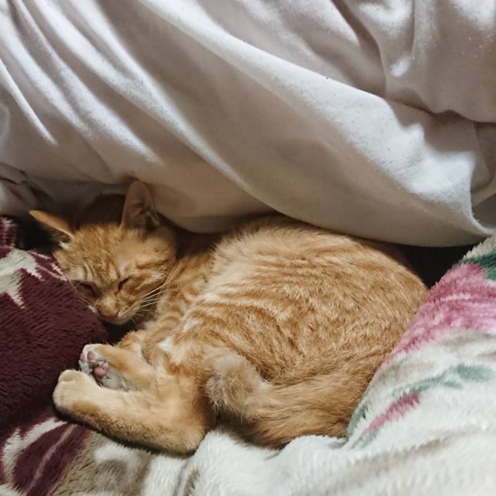 Cd503fad 7f1b 4e8f 8f8e d635acfe441a 1636457794565