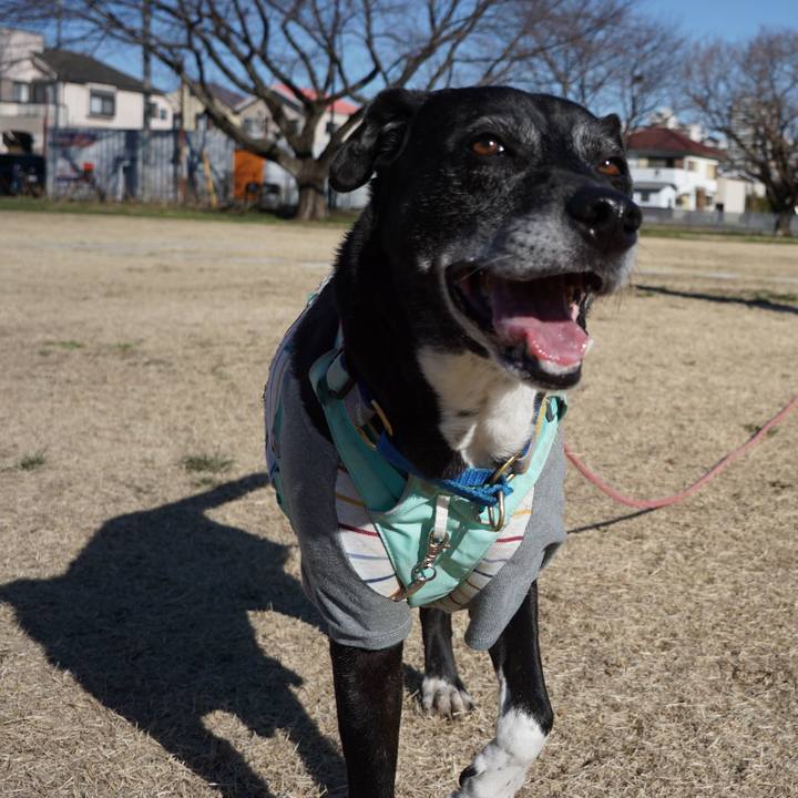 Cd504af5 1d66 4888 ab40 d3413c0ce89e 1773537748412