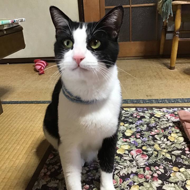 Cd505822 1911 4db8 871c f6ab120c8869 1683376911978