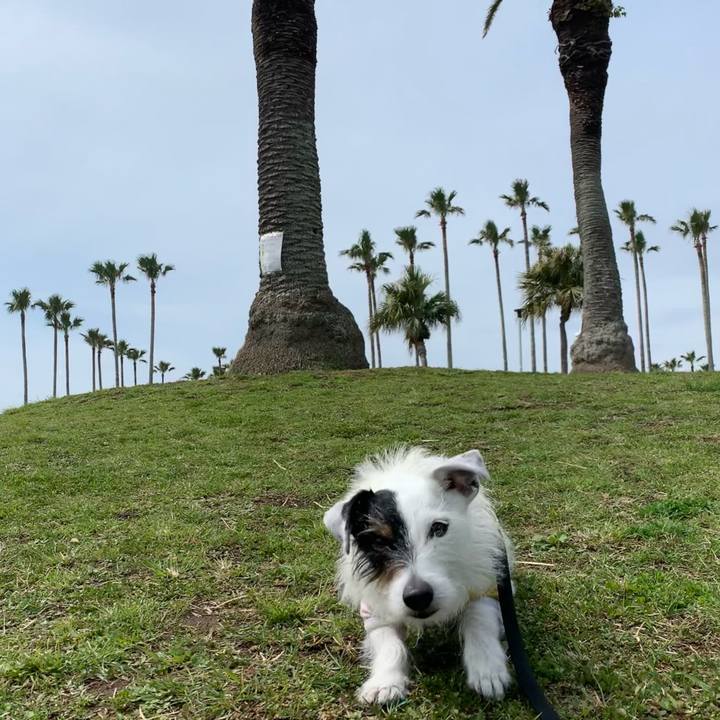 Cd505b3a ec8d 423b 9412 dd5ed9a40d5b 1648864286247