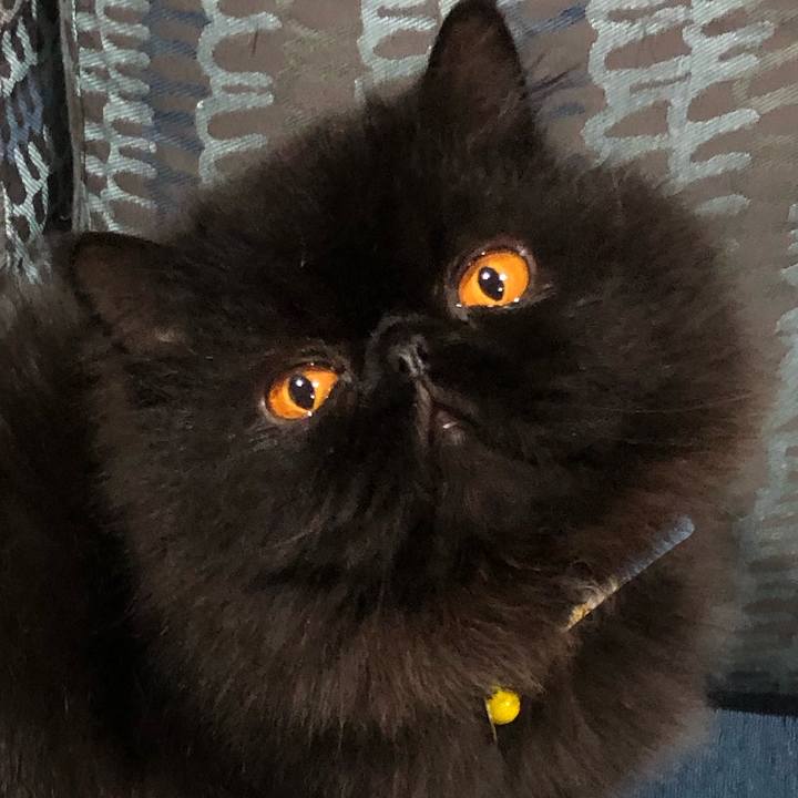 Cd505cc7 1c60 4800 b7fd 103eb7053159 1638610694815