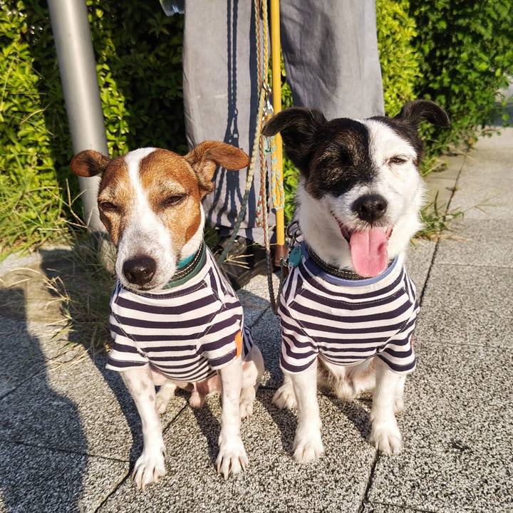 Cd50771a 1f58 4cde 90c9 470018780ef8 1726178549816