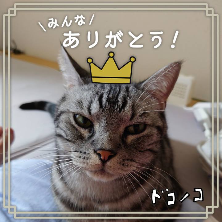 Cd50a645 3161 4bfb 893b ab53acb0b36d 1622890841938