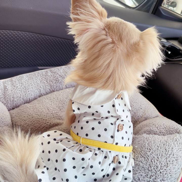 Cd50b22d 3ca6 4cef a10e dbd9f3ca9d04 1752974158840