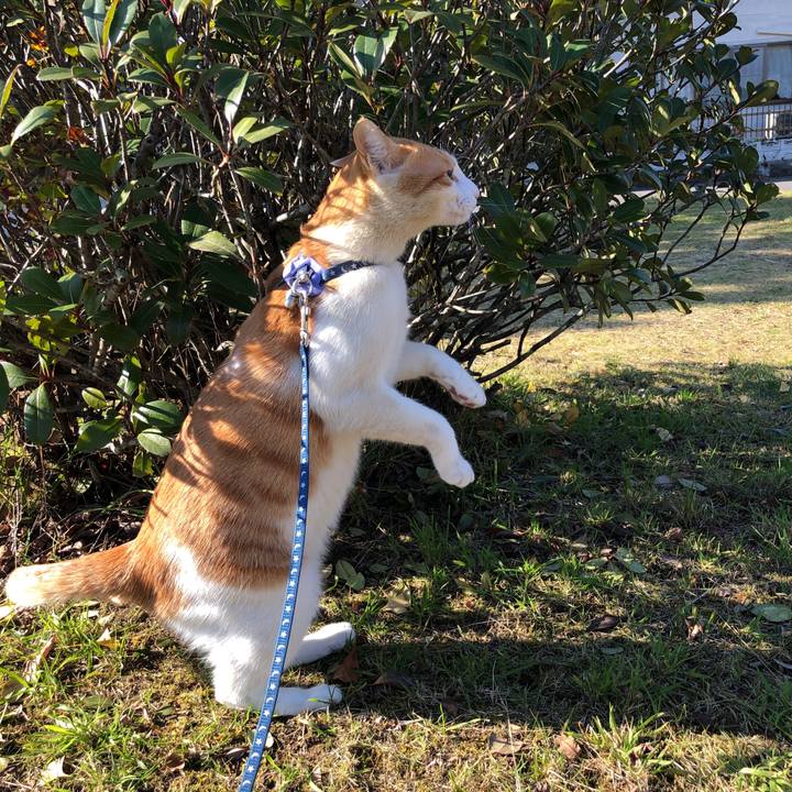 Cd50c5b1 258c 4415 80af 890b81464818 1543141491379