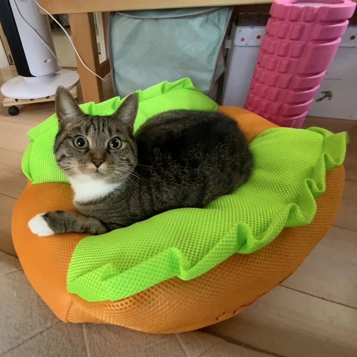 Cd50dfe8 0622 402b 99a3 5a3d7e760eab 1757741396660