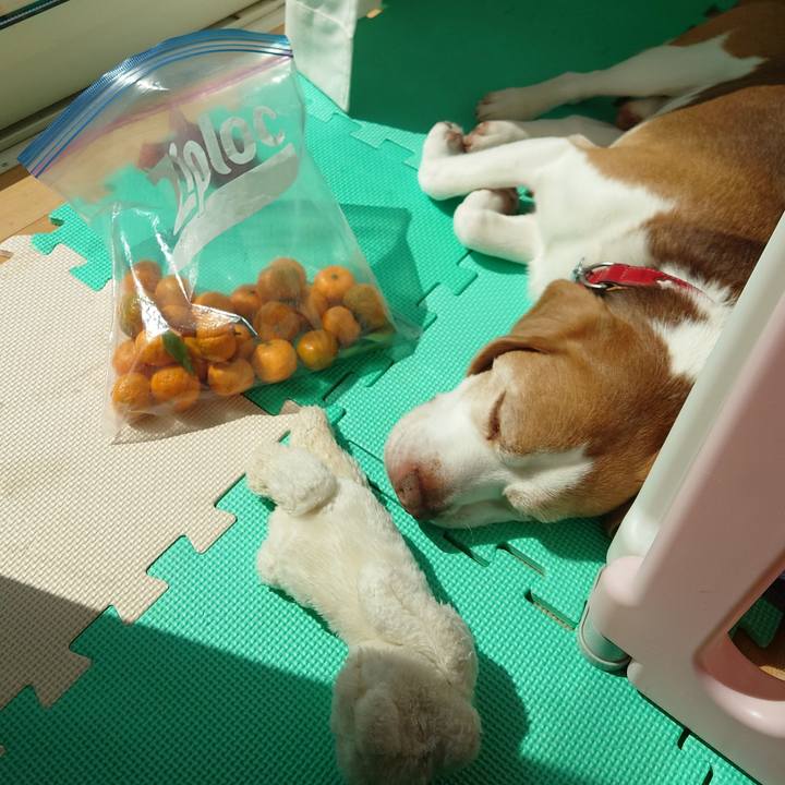 Cd50edfe 0910 43dc a316 afd83f9c9e98 1710467797603