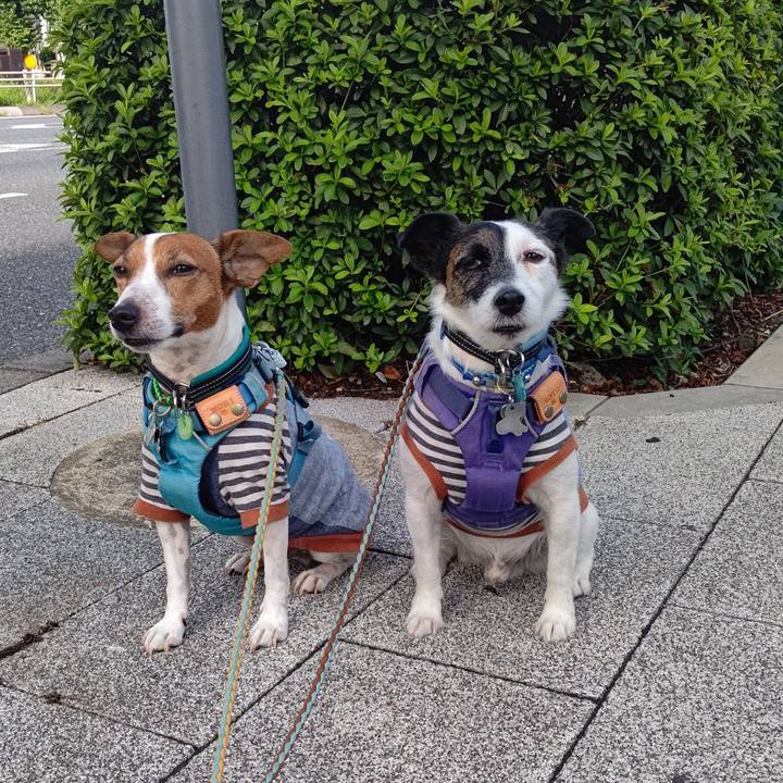 Cd5119b8 3ee0 403a a9f8 e8f759790e73 1695514860326