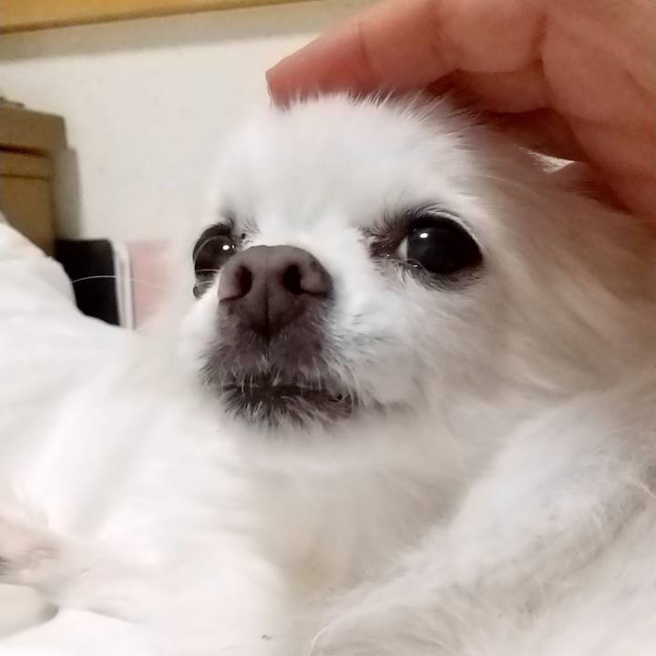 Cd511e20 1ae0 409d 8a9f 7900853bf4a5 1666359776742