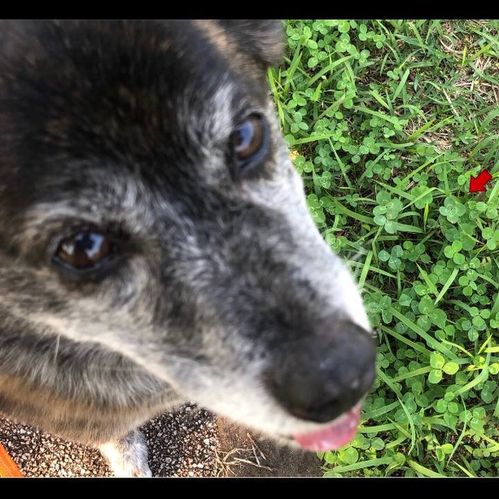 Cd513200 6f49 4660 9d25 ee7c939f6c95 1686832335548