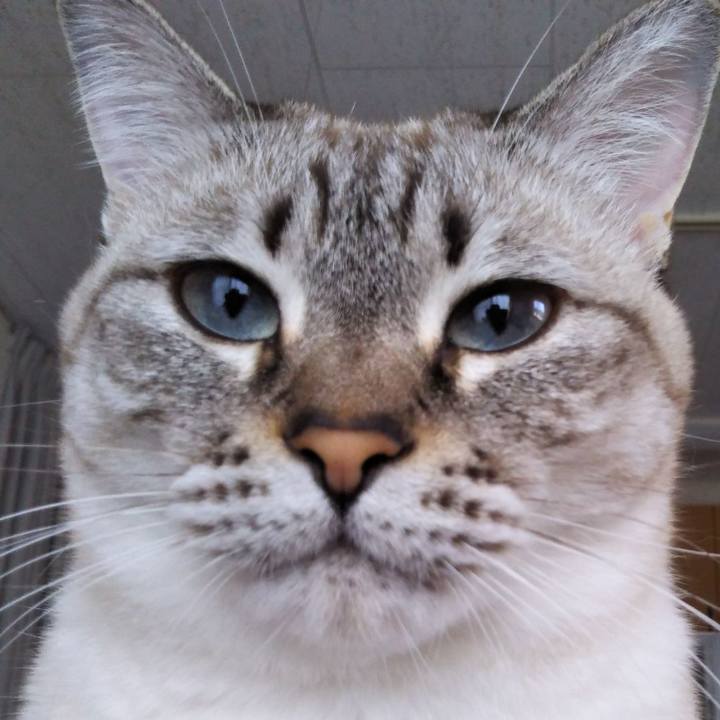 Cd516463 25f2 4582 8bca 57037b8d44c5 1541576114799