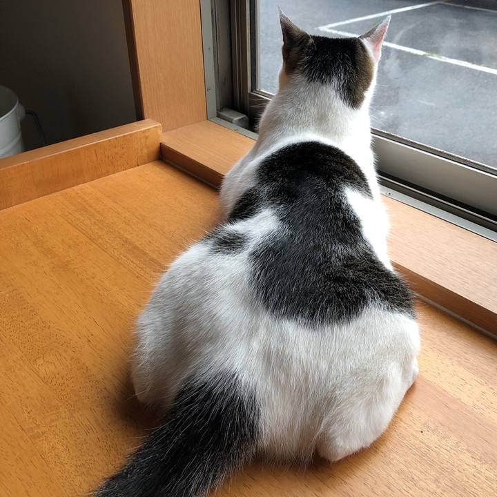 Cd516868 21ea 4fb8 920d e7eab8c57b63 1596850121429