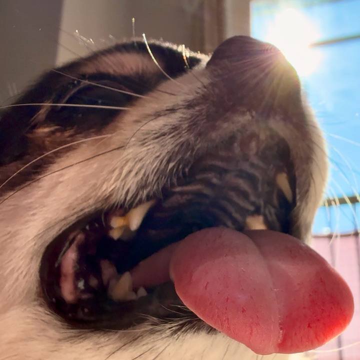 Cd51c94c 3b1c 4a53 b6eb 0b029cfb8277 1737187442892