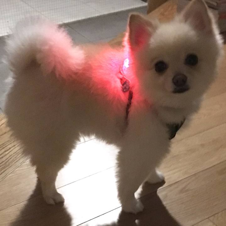 Cd51cd4a 4963 4e27 97eb 05d8424fe85f 1543236004613